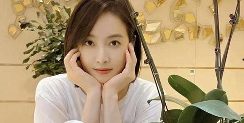 刘大锤最新爆料直播杨洋,杨洋幕后故事大曝光  第3张